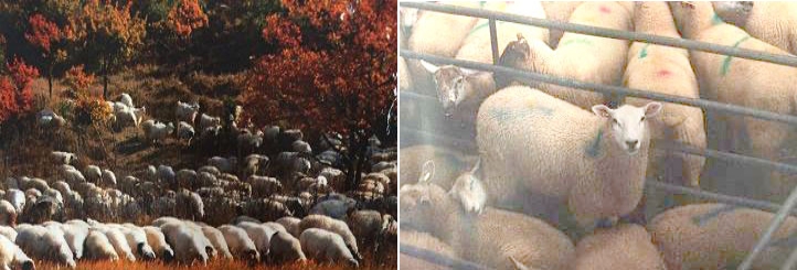 1705031960900728.jpg 1.jpg